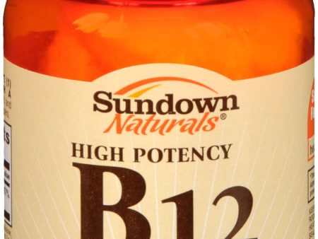 Sundown Naturals B12 1000 mcg Tablets Online now